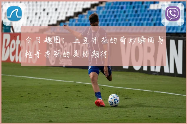 今日趣图：土豆开花的奇妙瞬间与枪手夺冠的美好期待